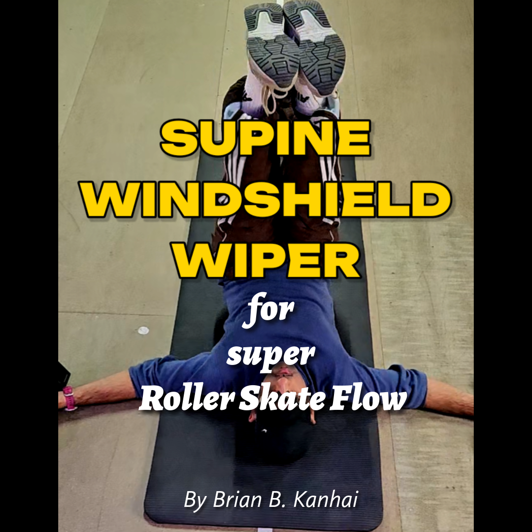 Windshield Wipers
