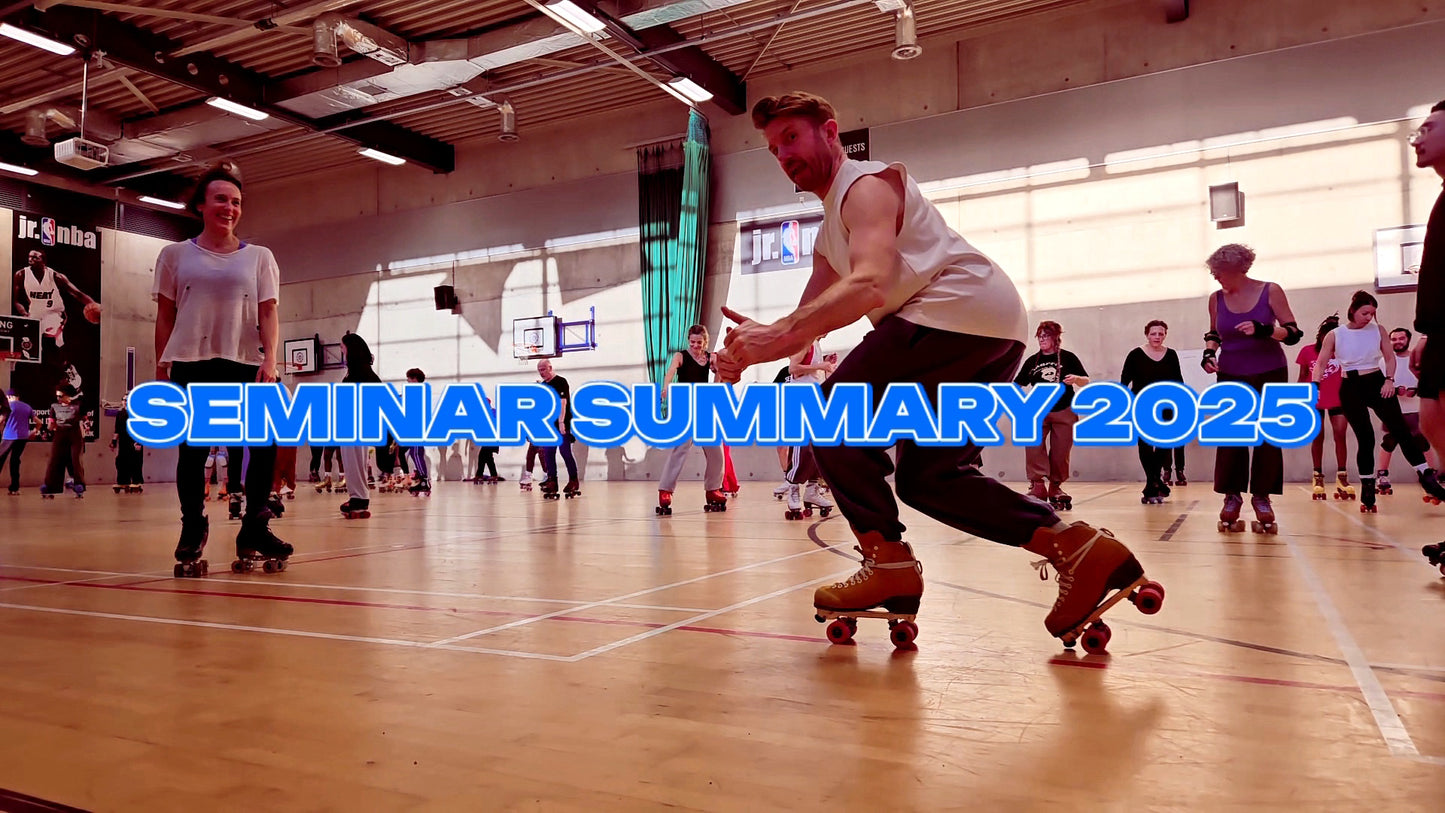 Seminar Summary video 2025