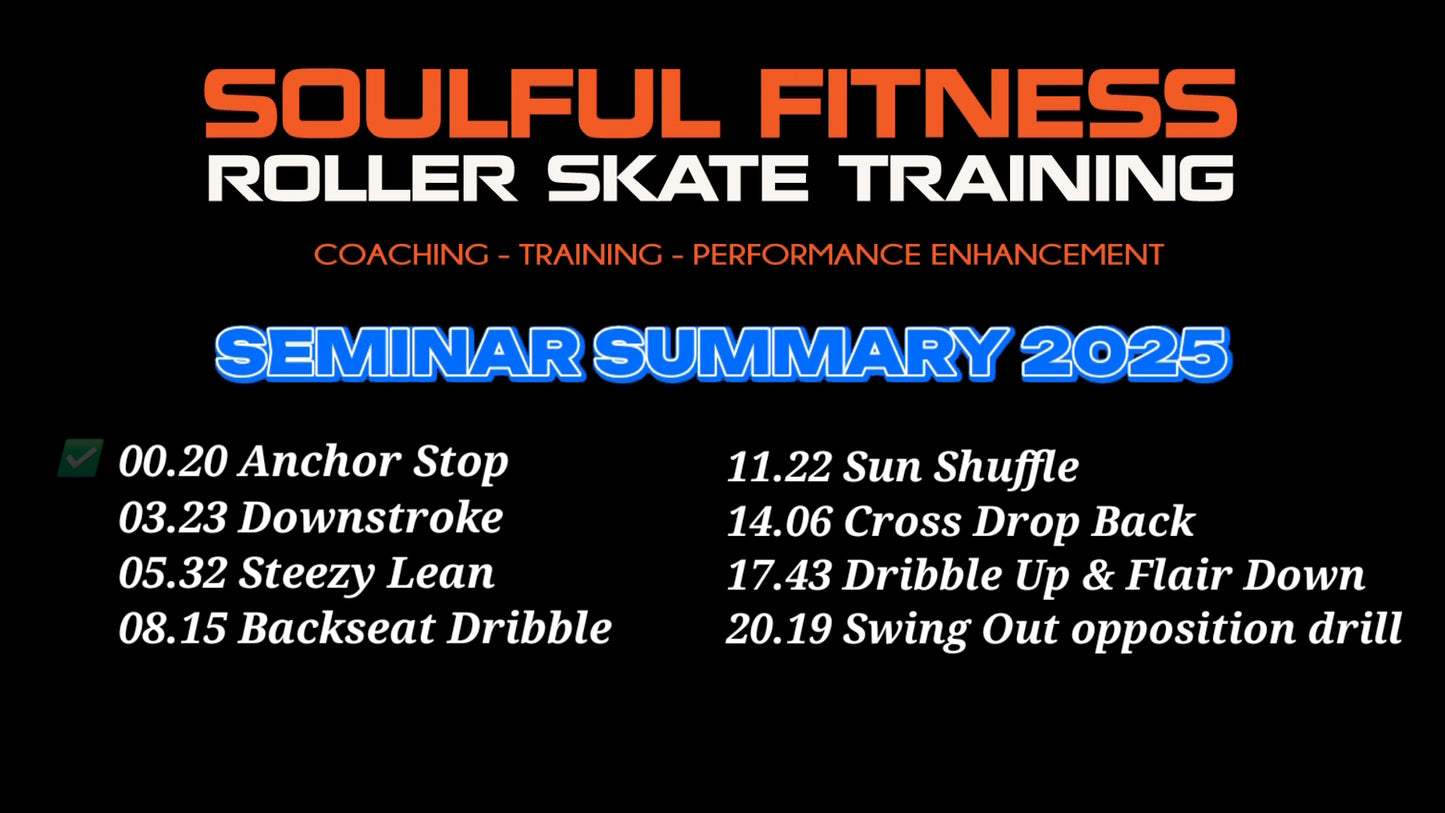 Seminar Summary video 2025